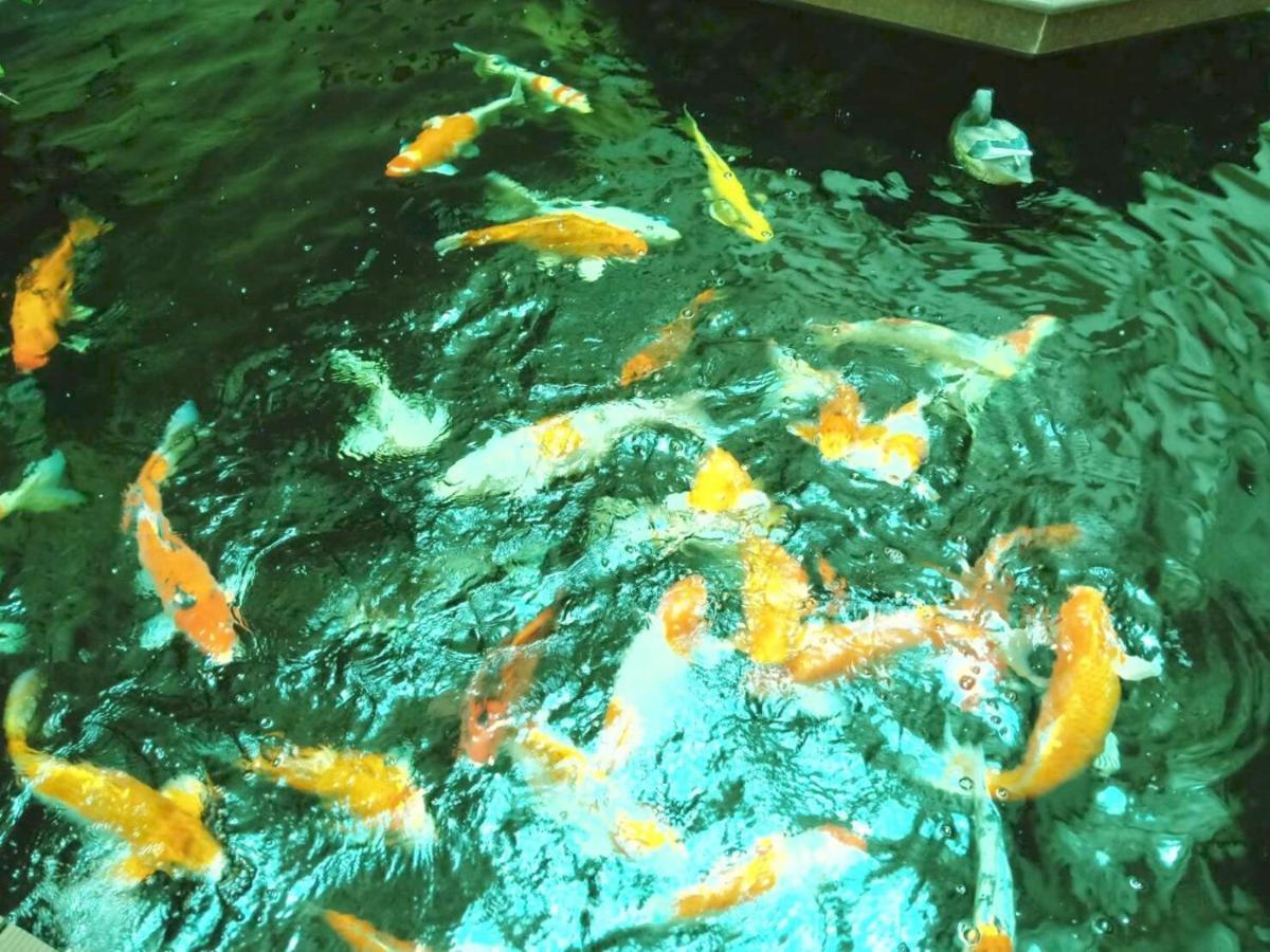 Mei Zhou Phuket Hotel Buitenkant foto
